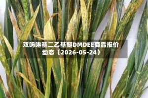 双吗啉基二乙基醚DMDEE商品报价动态（2026-05-24）