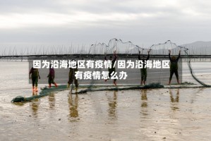 因为沿海地区有疫情/因为沿海地区有疫情怎么办