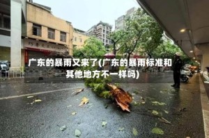广东的暴雨又来了(广东的暴雨标准和其他地方不一样吗)