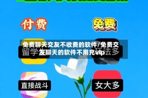免费聊天交友不收费的软件/免费交友聊天的软件不用充vip