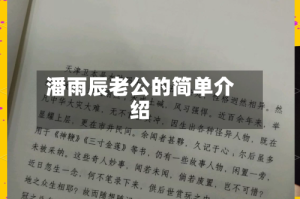 潘雨辰老公的简单介绍