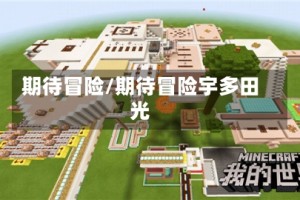 期待冒险/期待冒险宇多田光