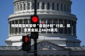特朗普宣布暂停“自由计划”行动，现货黄金站上4620美元