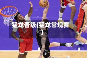 猛龙晋级(猛龙常规赛)