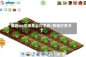 我的qq农场怎么打不开/农场打开不了