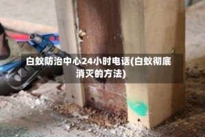 白蚁防治中心24小时电话(白蚁彻底消灭的方法)