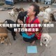 大狗狗整整做了四年都没事/我利狗做了四年都没事