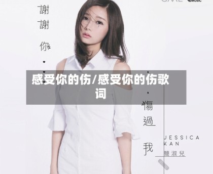 感受你的伤/感受你的伤歌词