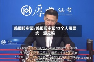 美国陪审团/美国陪审团12个人需要统一意见吗