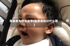 张震岳为什么坐牢(张震岳犯过什么错)