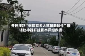 开挂技巧“微信家乡大贰辅助软件”附辅助神器开挂脚本详细步骤