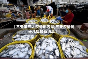 【三亚第三大疫情地区是,三亚疫情属于几级最新消息】
