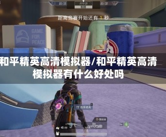 和平精英高清模拟器/和平精英高清模拟器有什么好处吗