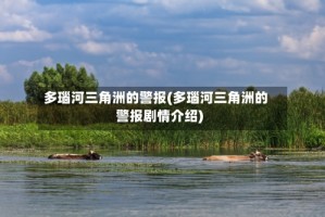 多瑙河三角洲的警报(多瑙河三角洲的警报剧情介绍)