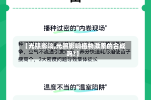 【光照影响,光照影响植物激素的合成吗?】