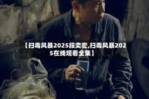【扫毒风暴2025段奕宏,扫毒风暴2025在线观看全集】