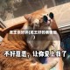 龙王你好坏(龙王好的表情包)