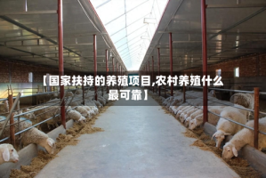 【国家扶持的养殖项目,农村养殖什么最可靠】
