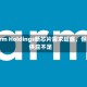 Arm Holdings新芯片需求旺盛，但供应不足
