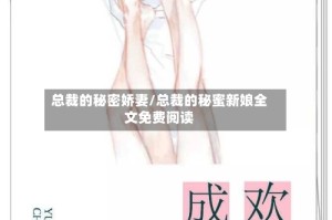 总裁的秘密娇妻/总裁的秘蜜新娘全文免费阅读