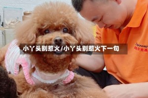 小丫头别惹火/小丫头别惹火下一句