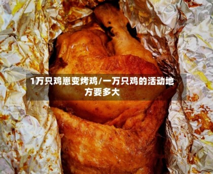 1万只鸡崽变烤鸡/一万只鸡的活动地方要多大