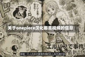 关于onepiece汉化娜美视频的信息