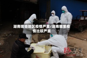 湖南哪些地区疫情严重/湖南哪里疫情比较严重