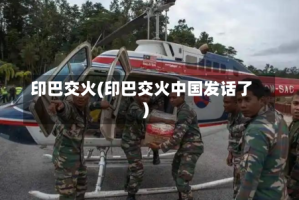 印巴交火(印巴交火中国发话了)