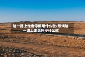 这一路上走走停停是什么歌/歌词这一路上走走停停什么歌