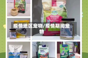 疫情地区宠物/疫情期间宠物