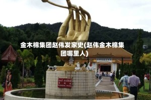 金木棉集团赵伟发家史(赵伟金木棉集团哪里人)