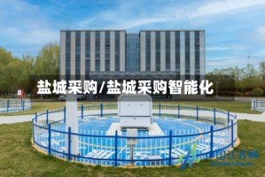 盐城采购/盐城采购智能化