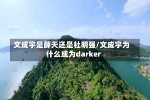 文成宇是薛天还是杜明强/文成宇为什么成为darker