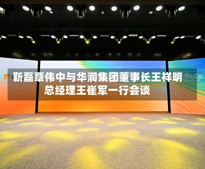 靳磊覃伟中与华润集团董事长王祥明总经理王崔军一行会谈