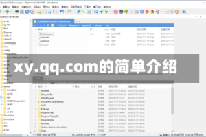 xy.qq.com的简单介绍