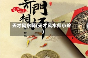 天才风水师(天才风水师小玲)