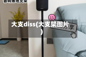 大支diss(大支架图片)