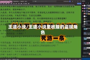 王道小说/王道小说里收服的盗贼角色