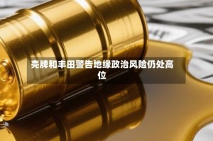 壳牌和丰田警告地缘政治风险仍处高位