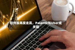 软件股再度走高，Palantir与Uber成关键