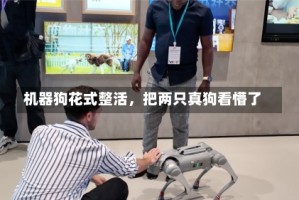 机器狗花式整活，把两只真狗看懵了