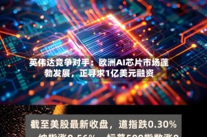 英伟达竞争对手：欧洲AI芯片市场蓬勃发展，正寻求1亿美元融资