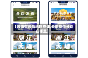 【云南有疫情地区查询,云南疫情分别在哪里】