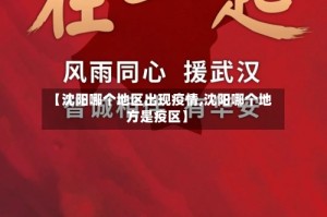 【沈阳哪个地区出现疫情,沈阳哪个地方是疫区】