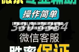[教程经验]“微乐陕西挖坑透视辅助软件”附开挂脚本详细教程