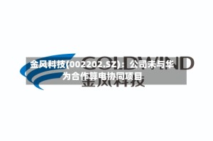 金风科技(002202.SZ)：公司未与华为合作算电协同项目