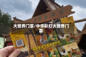 大世界门票/中华彩灯大世界门票