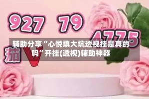 辅助分享“心悦填大坑透视挂是真的吗”开挂(透视)辅助神器