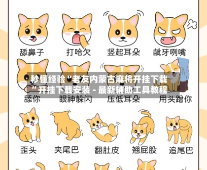 秒懂经验“老友内蒙古麻将开挂下载”开挂下载安装 - 最新辅助工具教程